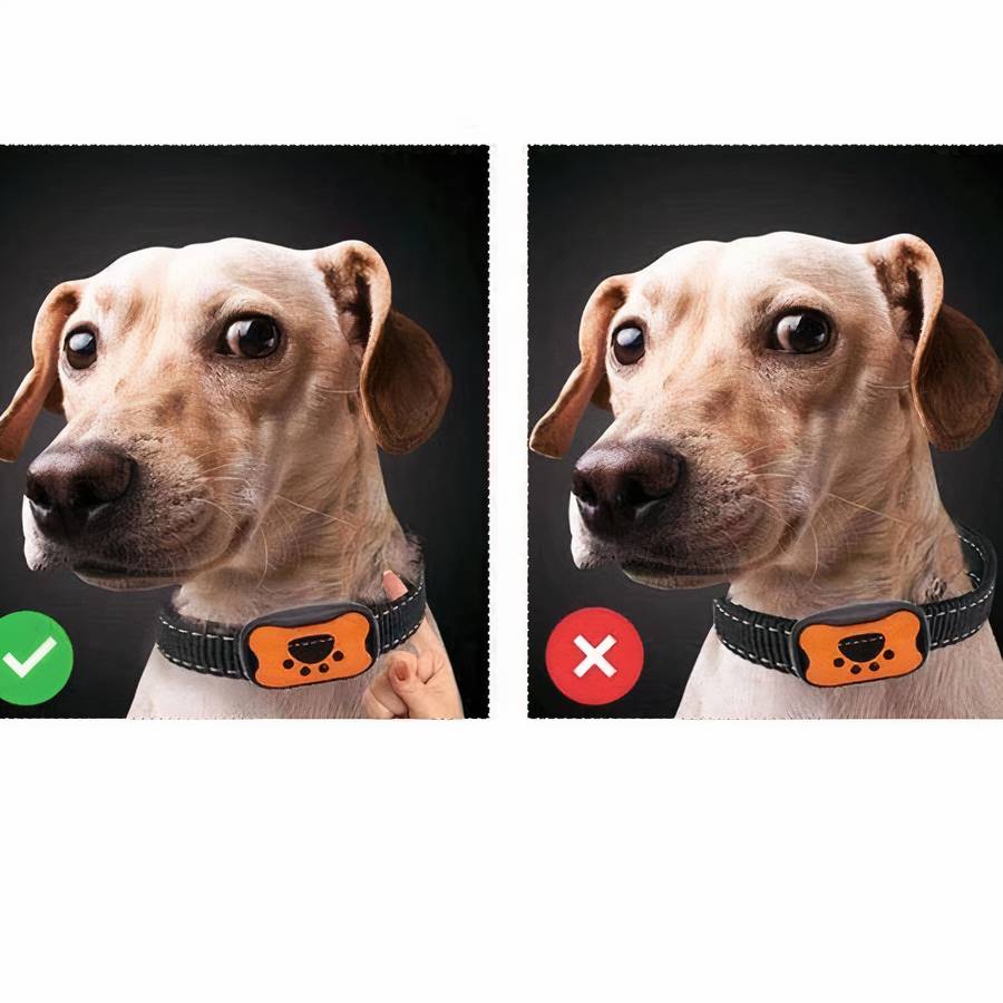 Dog Paw Pattern Anti Bark Collar Adjustable Training Collar for Dogs