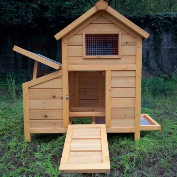 Chicken Coop Large - 1 to 2 Hens - Shingle Roof