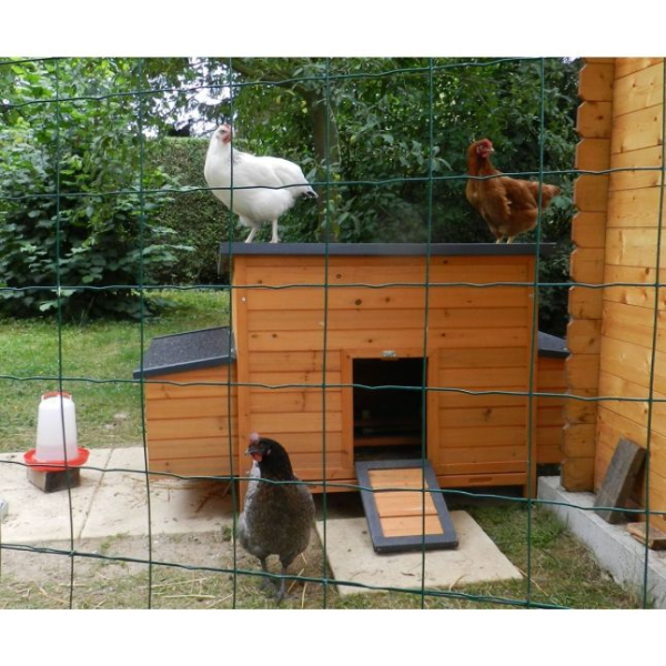 FSC Certified Wooden Chicken Nesting Box 2 Hens Capacity