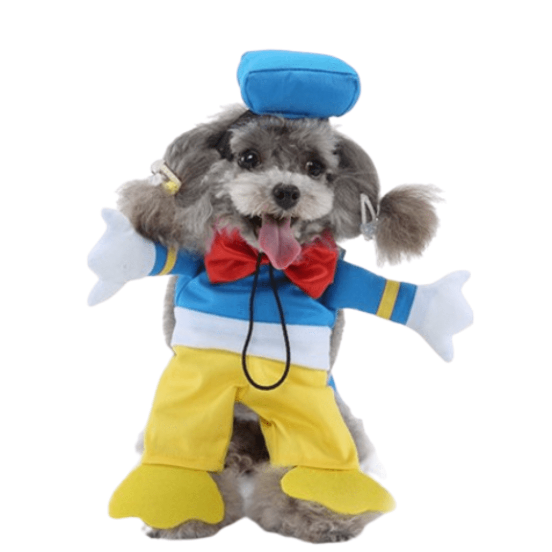 Donald Pet Costume for Cats and Dogs Funny Animal Outfit