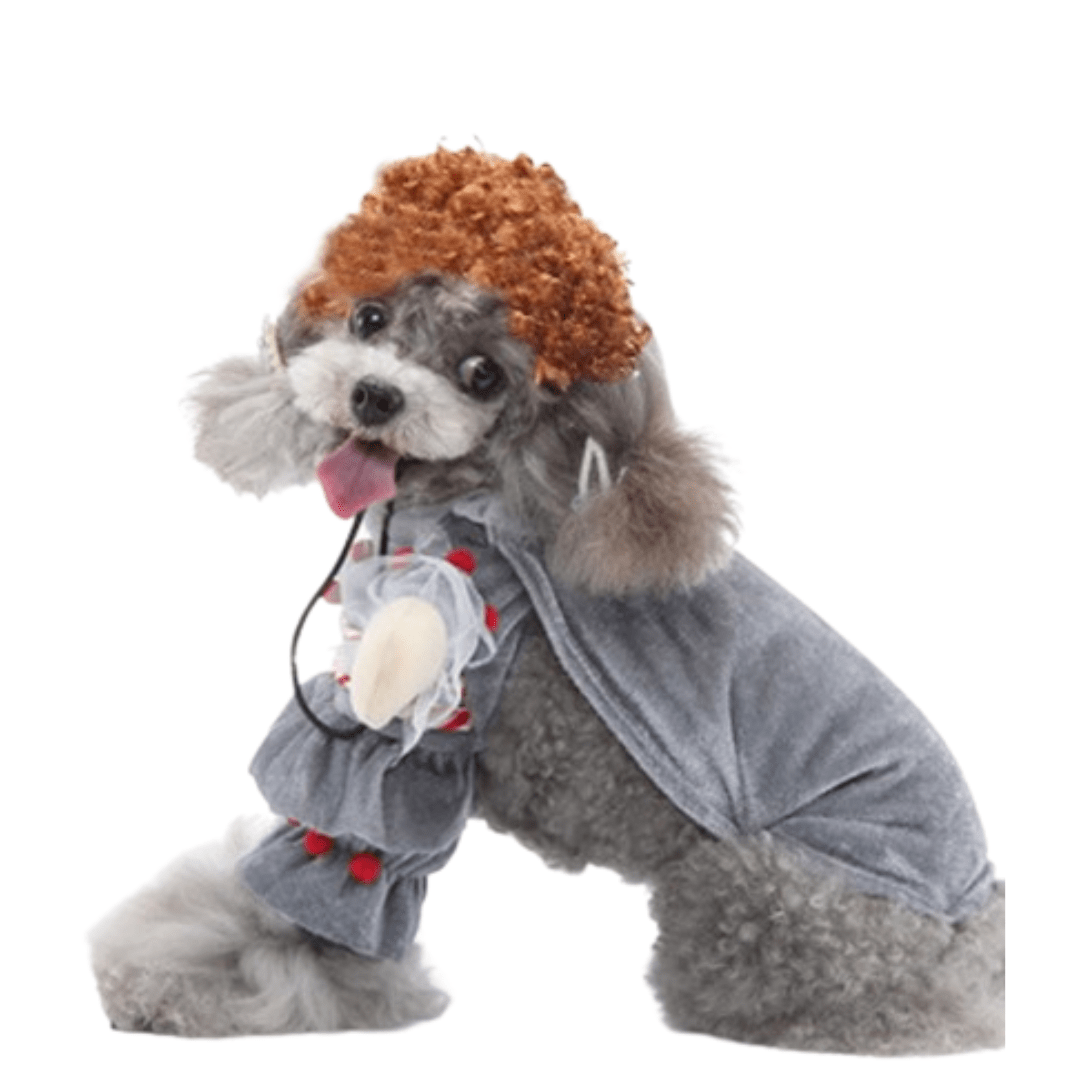 Sneeze Toy Costume for Cats and Dogs Flu Virus Pet Outfit