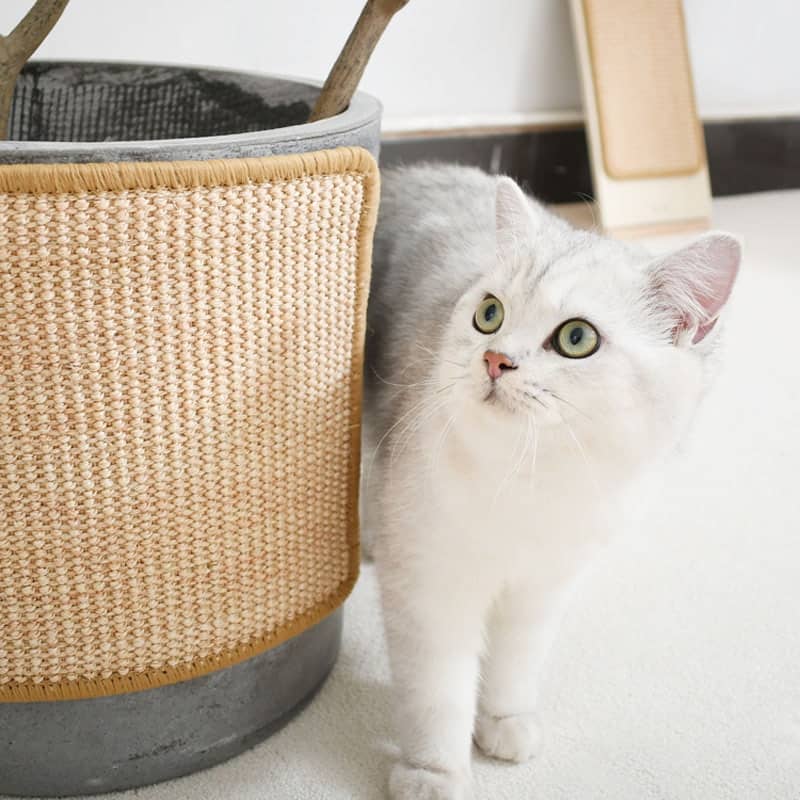 Cat Scratching Mat Durable Scratcher Pad for Cats and Kittens