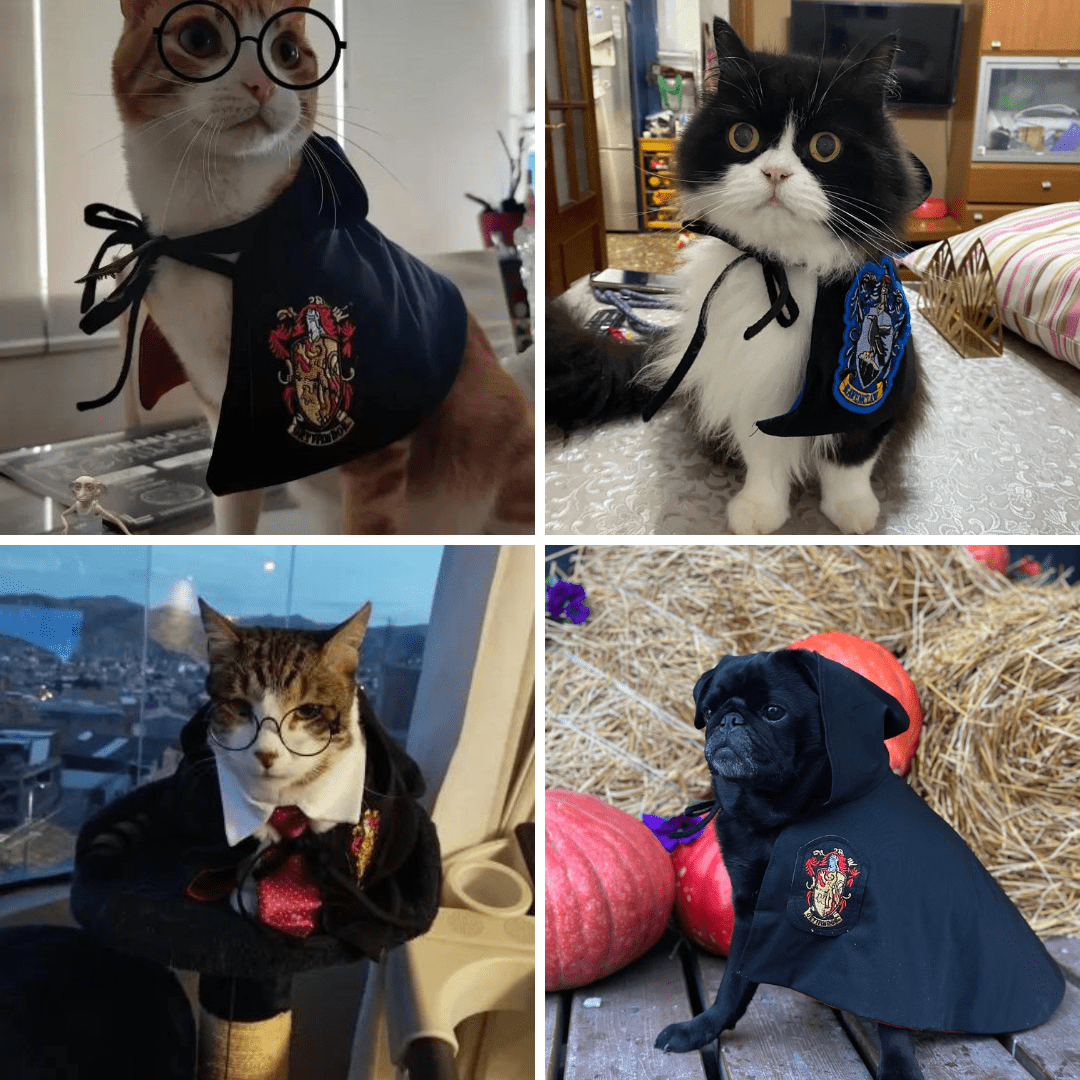 Harry Potter Cape Costume for Cats and Dogs Magical Pet Apparel