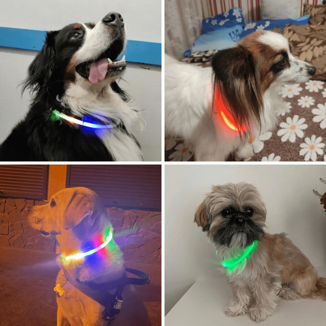 LED Dog Collar Rechargeable Safety Light Up Collar for Night Walks Visible Pet Collar