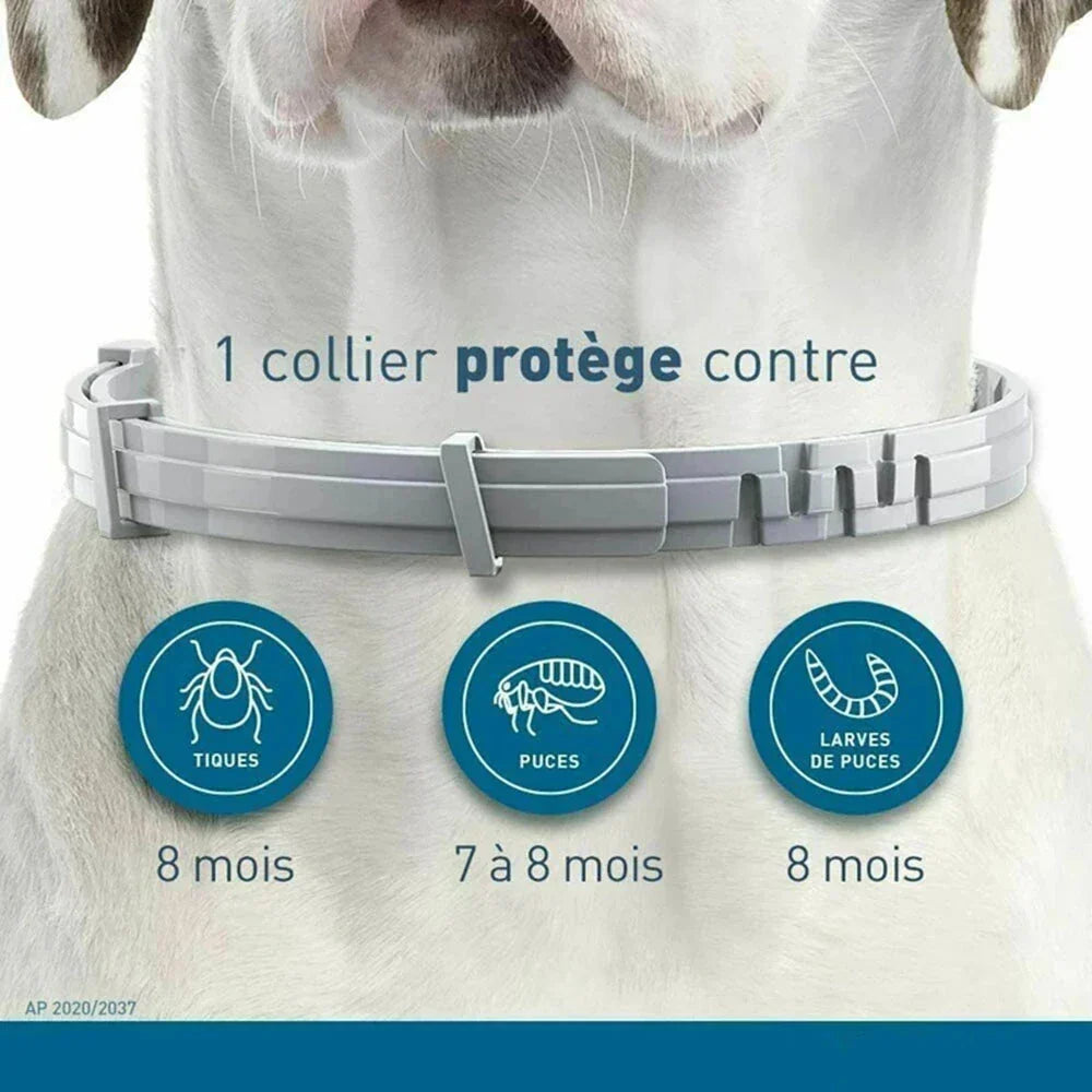 Natural Flea Collar for Cats Flea and Tick Protection
