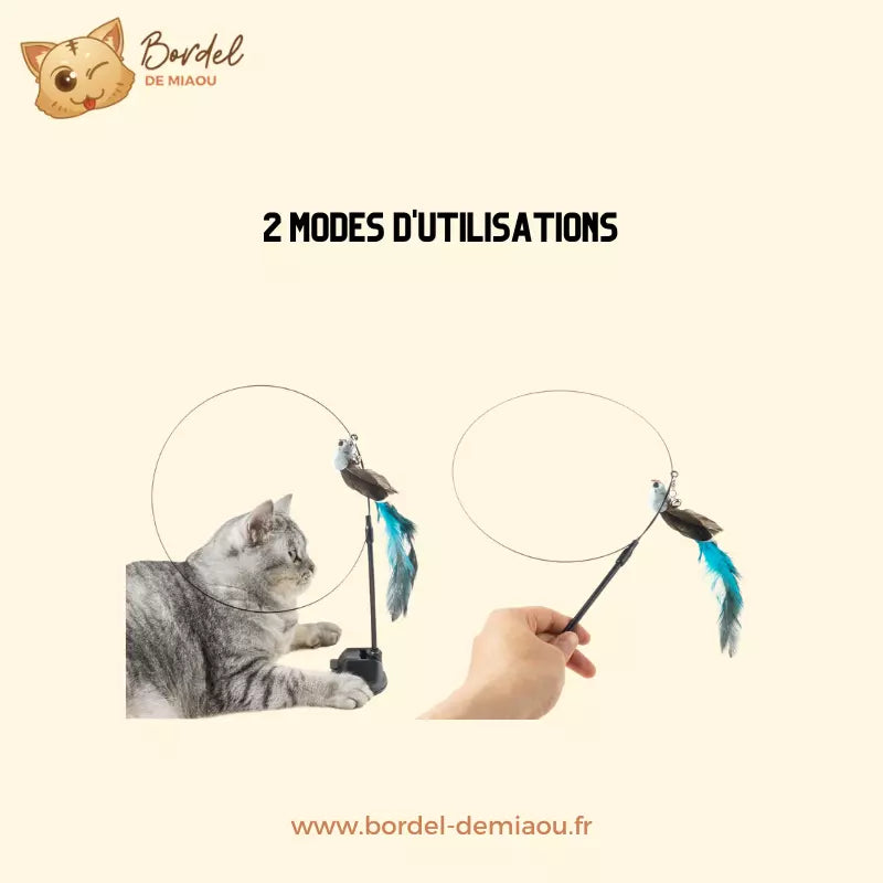 Feather Cat Toy Interactive Cat Teaser Wand for Cats