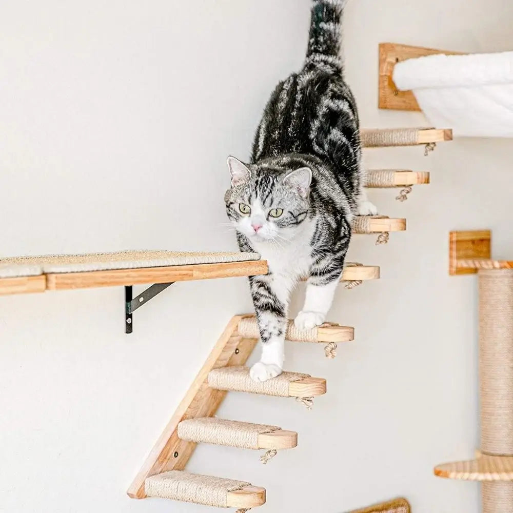Cat Staircase Pet Steps for Small Cats and Kittens