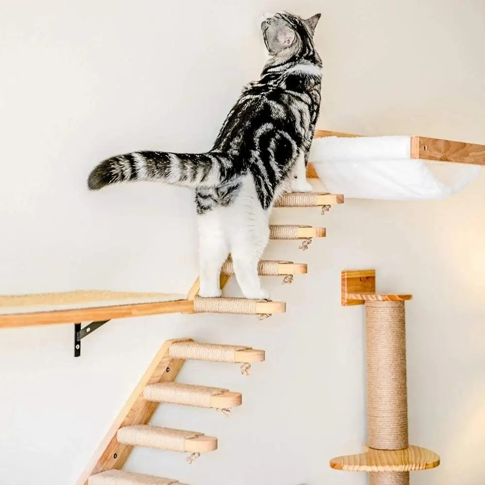 Cat Staircase Pet Steps for Small Cats and Kittens