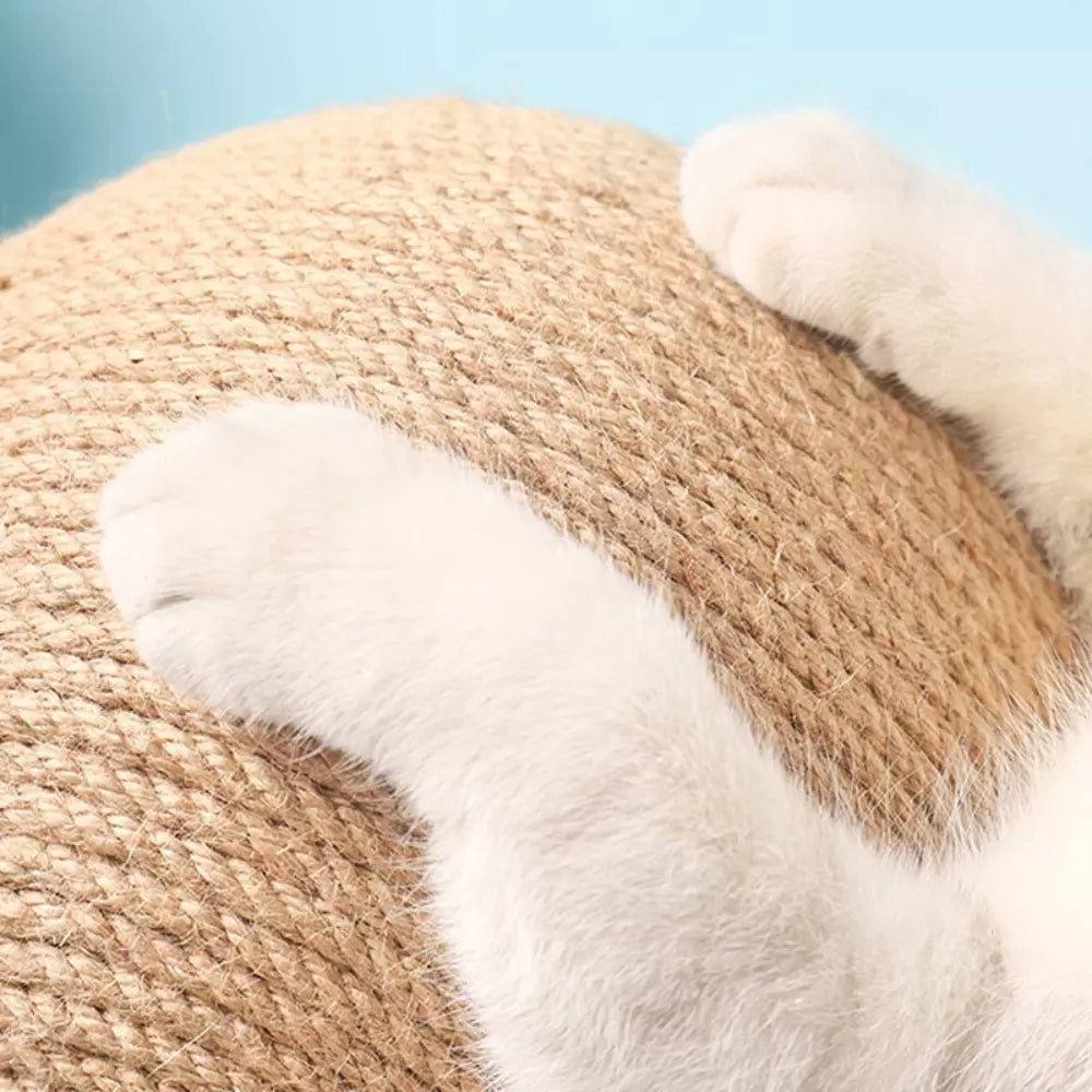 Cat Scratching Ball Toy Interactive Play for Cats and Kittens