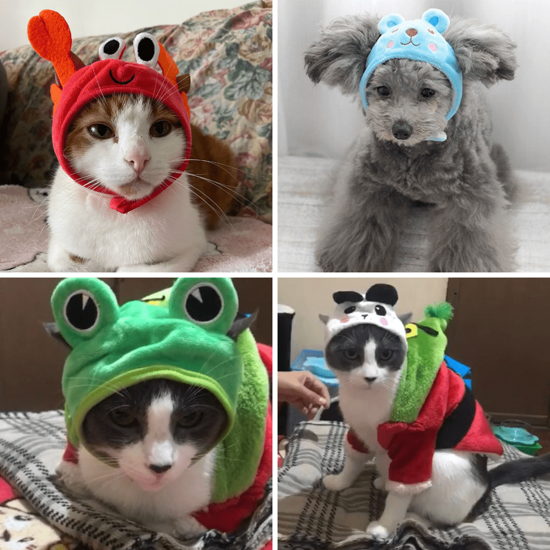 Animal Shaped Cat Hat Cute Pet Costume Accessory for Cats