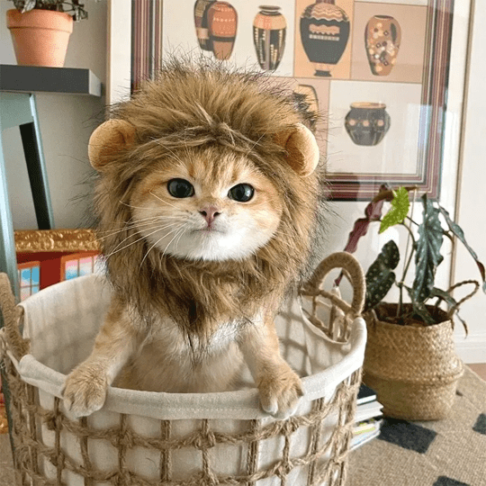 Cat Costume Lion Mane Wig for Cats Pet Dress Up