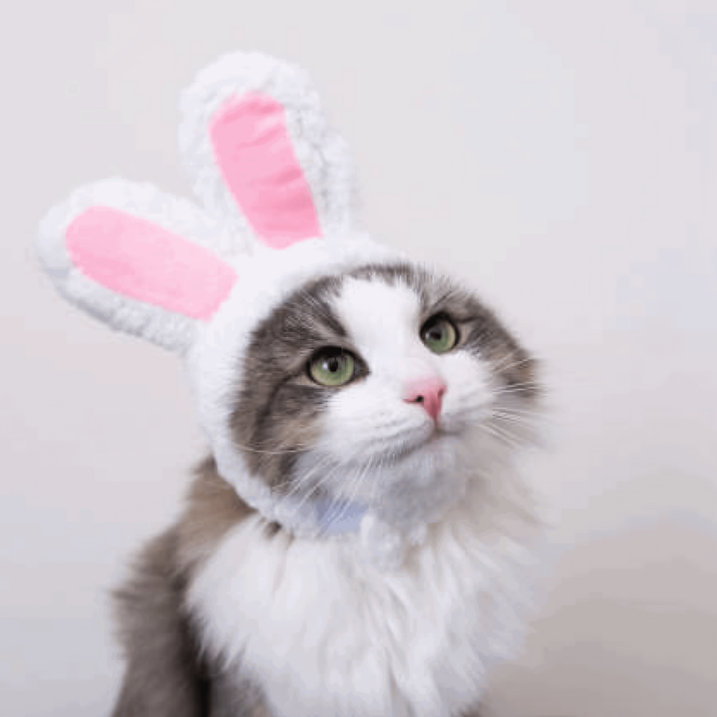 Cat Head Costume Pet Hat Halloween Accessory for Cats