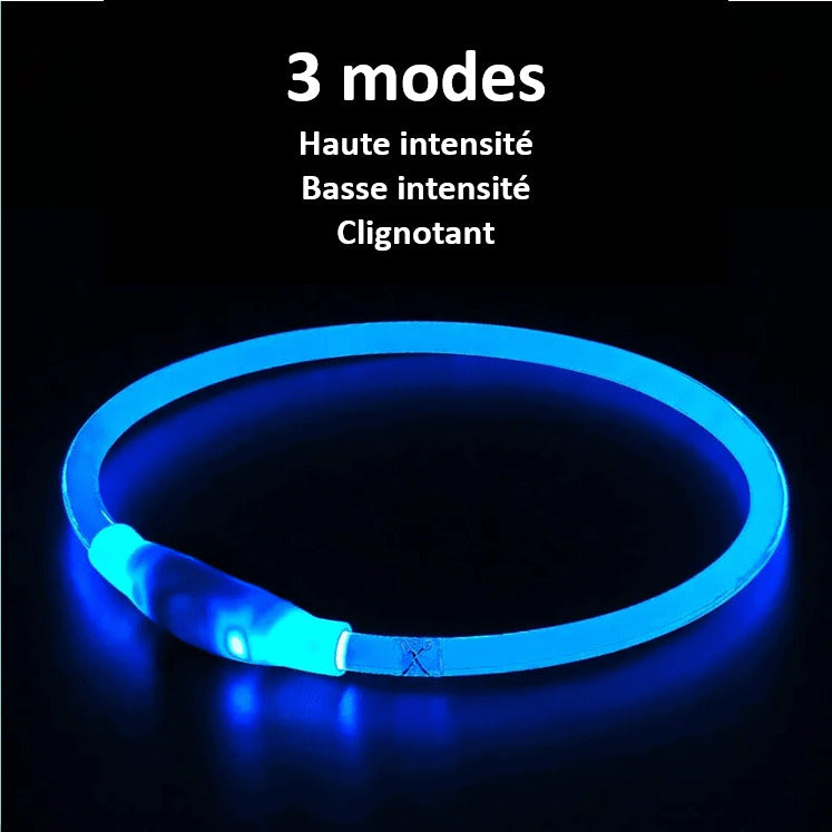 LED Dog Collar Rechargeable Safety Light Up Collar for Night Walks Visible Pet Collar