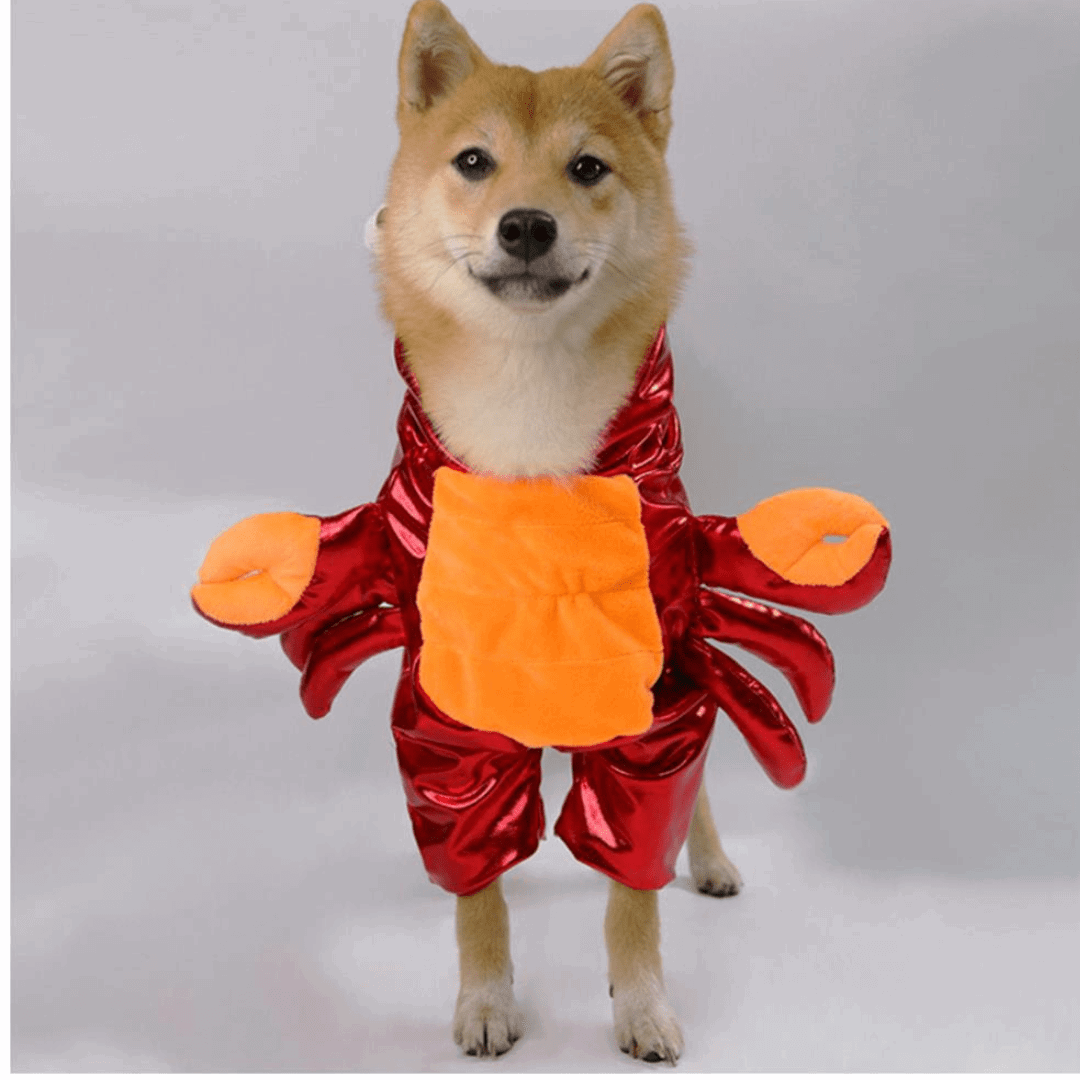 Crab Costume for Cats and Dogs Pet Halloween Outfit