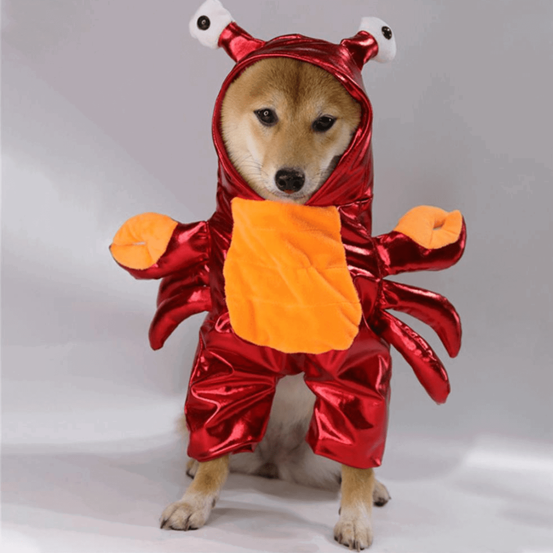 Crab Costume for Cats and Dogs Pet Halloween Outfit
