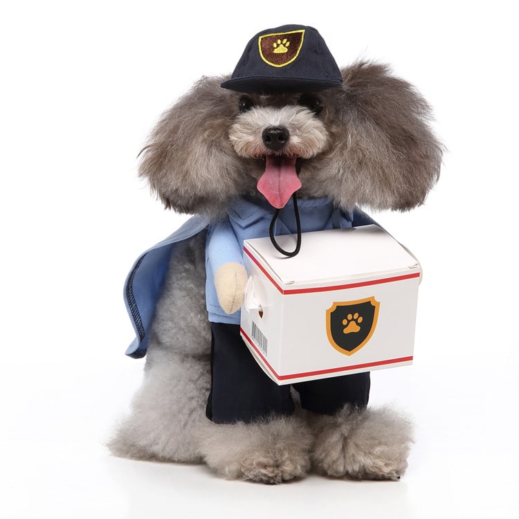 Pet Delivery Driver Costume for Dogs and Cats Cute Outfit for Pets
