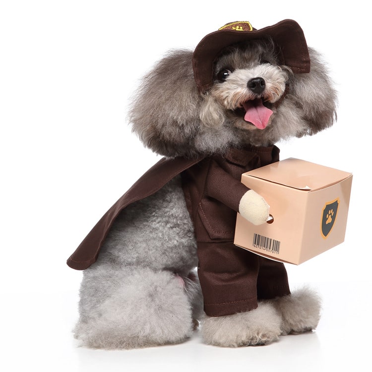 Pet Costume for Cats and Dogs - Package Delivery Courier Outfit