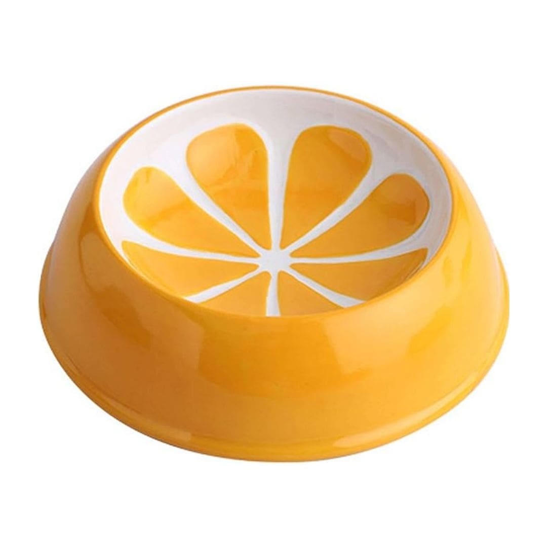 Small Ceramic Dog and Cat Bowl Fruit Edition Premium Pet Feeding Dish