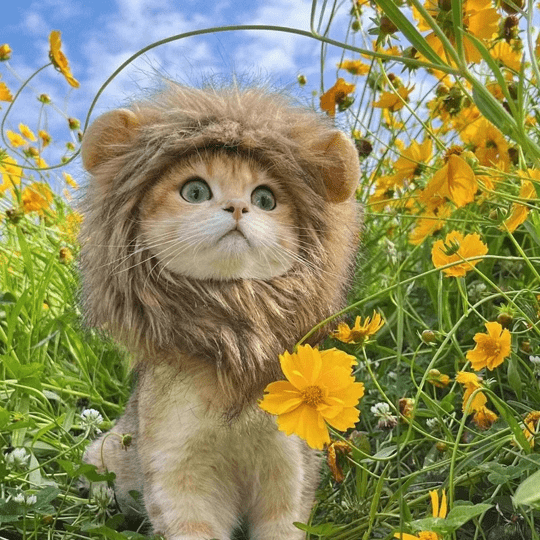 Cat Costume Lion Mane Wig for Cats Pet Dress Up