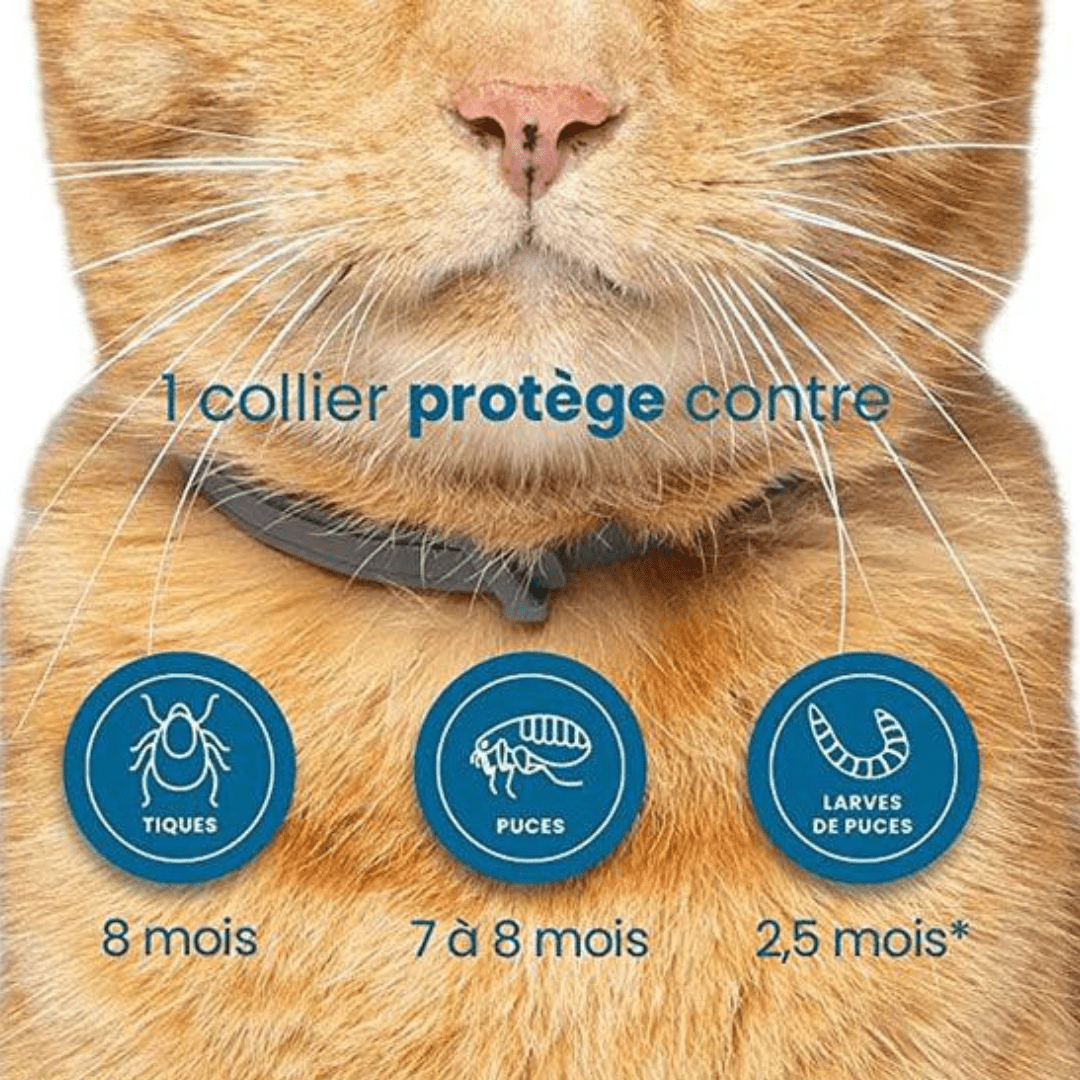 Flea and Tick Collar for Dogs and Cats Natural Pest Protection