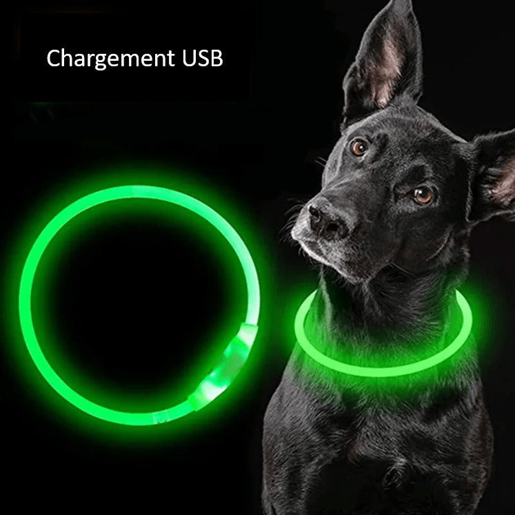 LED Dog Collar Rechargeable Safety Light Up Collar for Night Walks Visible Pet Collar