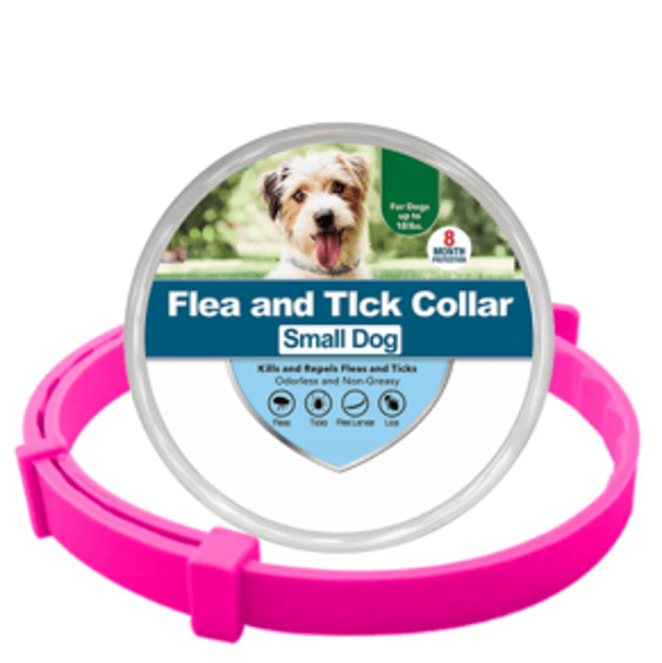 Flea and Tick Collar for Dogs and Cats Natural Pest Protection