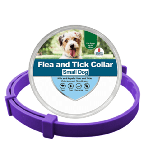 Flea and Tick Collar for Dogs and Cats Natural Pest Protection