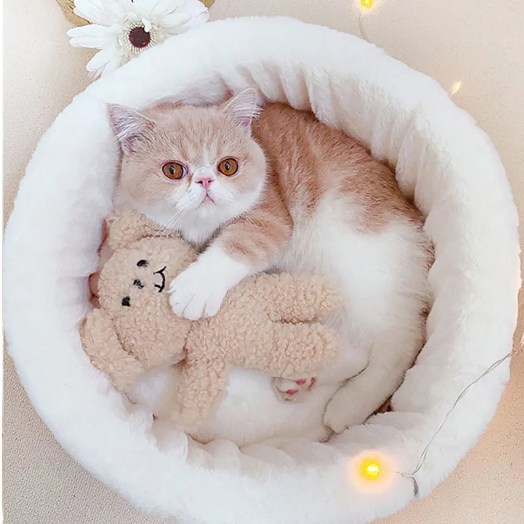 Japanese Style Cat Bed