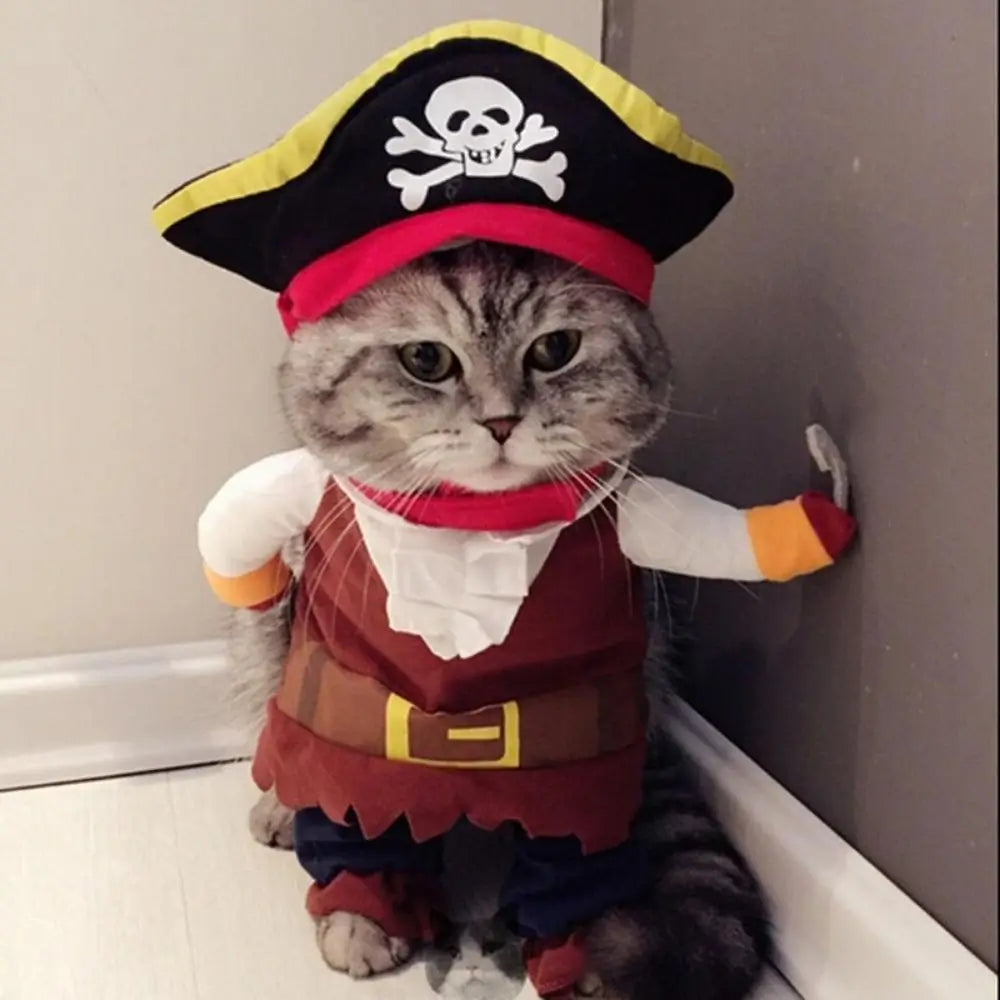Funny Pirate Cat Costume for Cats and Kittens Halloween Dress Up