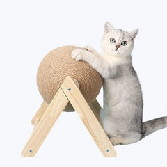 Cat Scratching Ball Toy Interactive Play for Cats and Kittens