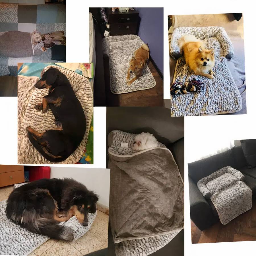 Soft and Cozy Dog Couch Bed Warm Pet Furniture