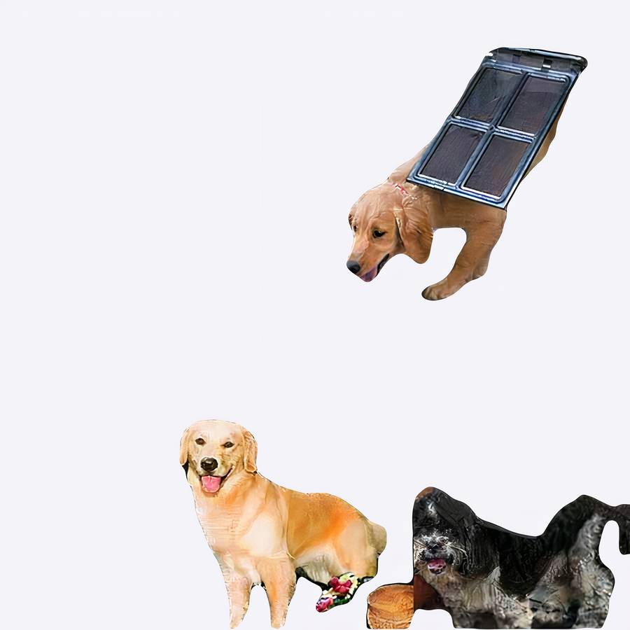 Pet Door for Dogs and Cats Automatic Pet Flap Access Panel