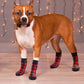 Non Slip Dog Socks for Hardwood Floors and Tiles Prevent Slipping
