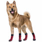 Non Slip Dog Socks for Hardwood Floors and Tiles Prevent Slipping