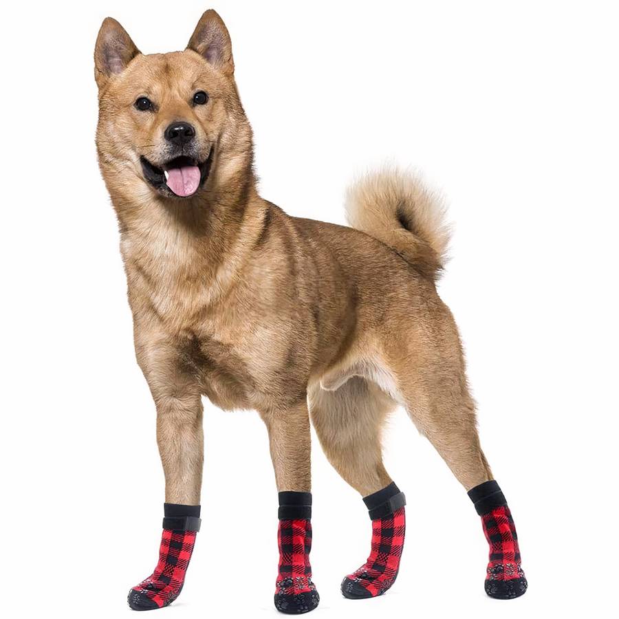 Non Slip Dog Socks for Hardwood Floors and Tiles Prevent Slipping
