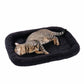 Ultra Soft Cushion Pillow Plush Decorative Throw Cushion for Sofa Chair Bed