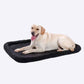 Ultra Soft Cushion Pillow Plush Decorative Throw Cushion for Sofa Chair Bed