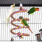 Bird Cage Aviary - 18in L x 14in W x 39in H Large Bird Enclosure