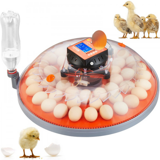 Automatic Egg Incubator with Auto Turn 48 Eggs Temperature and Humidity Control