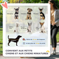 Dog Stroller with 4 Swivel Wheels Pet Stroller for Small Dogs and Puppies