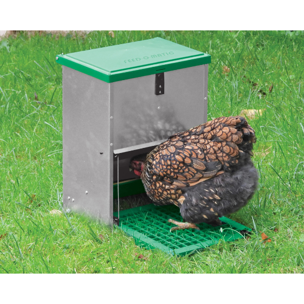 Adjustable Automatic Chicken Feeder 5lbs Pest Resistant Poultry Feed Dispenser