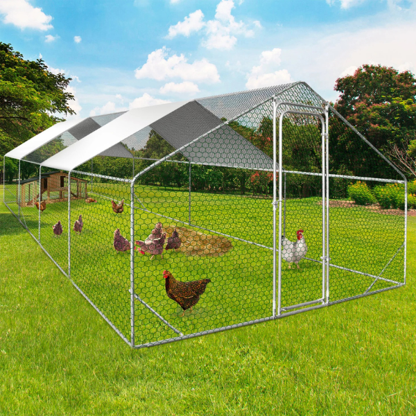Chicken Coop Run 258 Sq Ft - Galvanized Steel Chicken Enclosure Yard
