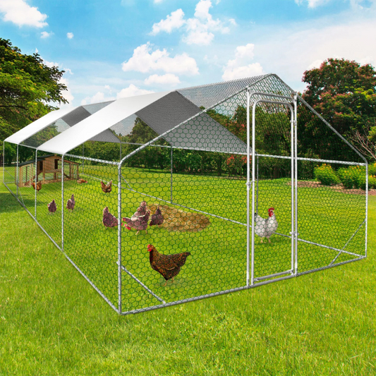 Chicken Coop Run 258 Sq Ft - Galvanized Steel Chicken Enclosure Yard