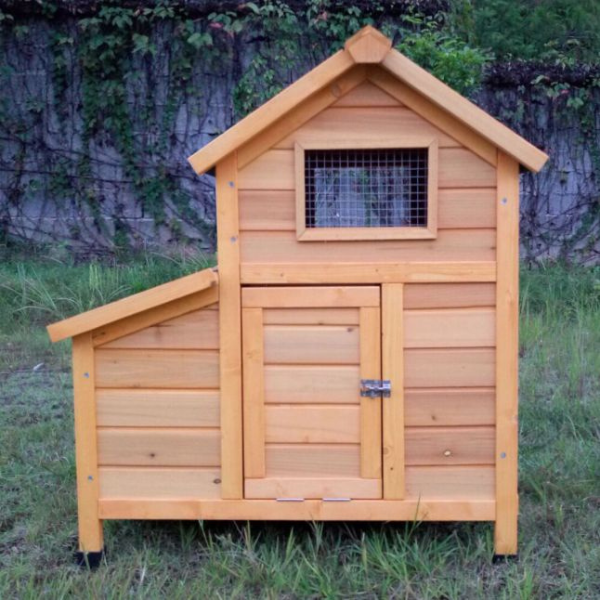 Chicken Coop Large - 1 to 2 Hens - Shingle Roof
