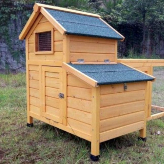 Chicken Coop Large - 1 to 2 Hens - Shingle Roof