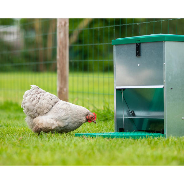 Adjustable Automatic Chicken Feeder 5lbs Pest Resistant Poultry Feed Dispenser