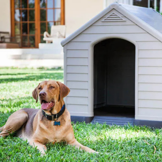 Beige and Brown Plastic Dog House 39 x 37 x 39 Inches Durable Outdoor Pet Kennel