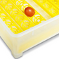 Automatic Egg Incubator 48 Egg Capacity Intelligent Self-Operating Hatcher