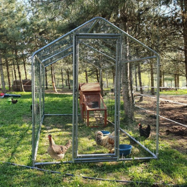 8m² Chicken Coop Run 32mm Tubes 7.4ft High - Reinforced Wire Mesh Pen 13x6.5ft - Galvanized Steel