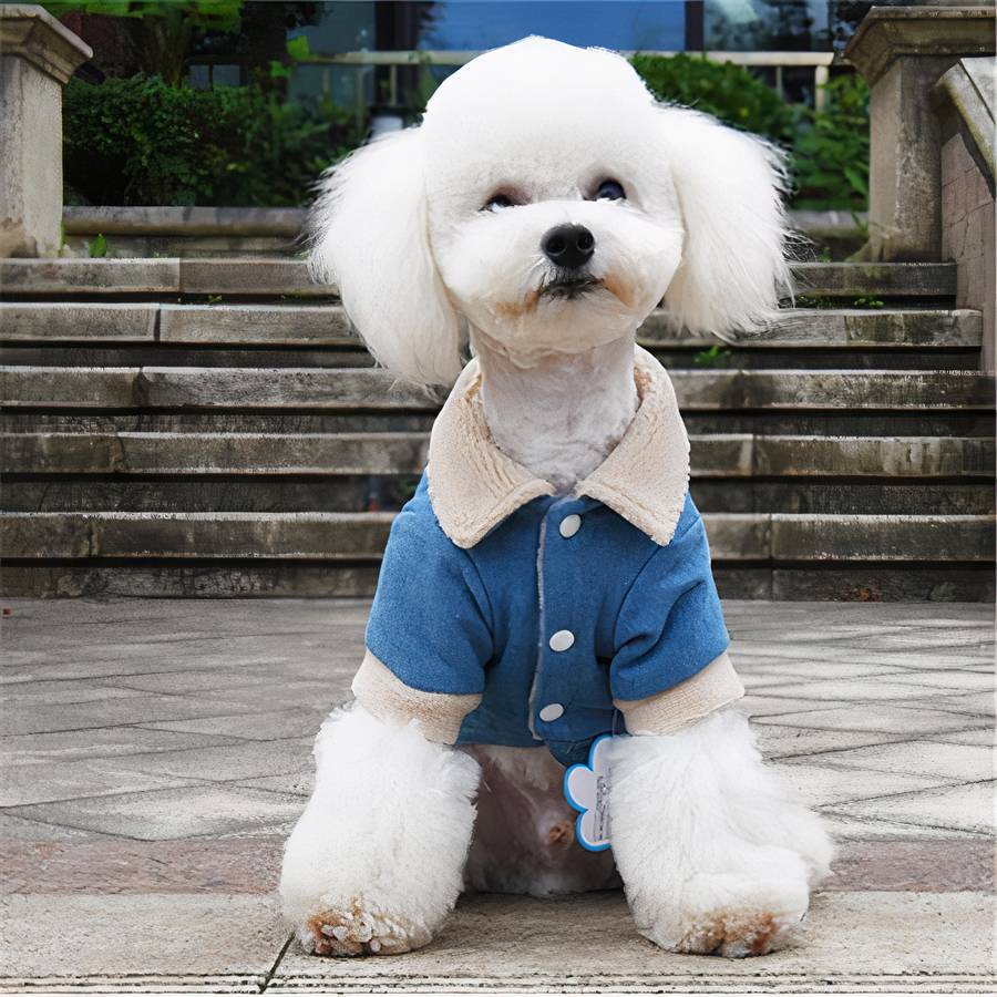 Denim Winter Coat for Dogs Warm Pet Jacket Small Medium Large Sizes